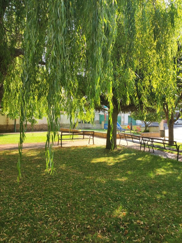 Summer morning around Ledrada's streets, parks, and old railway