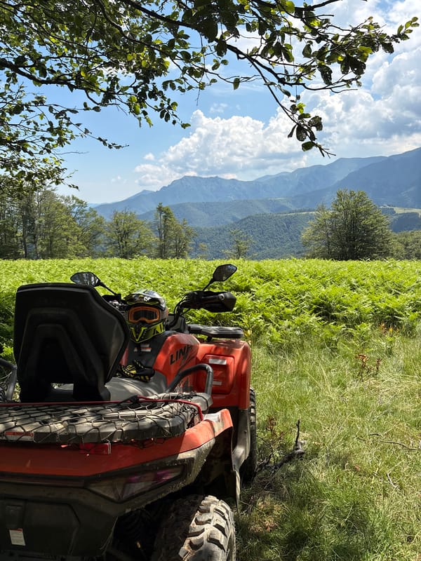 ATV parked in the fern-covered hills of Apriltsi, Bulgaria