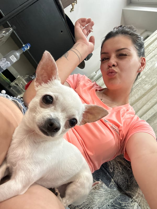 Selfie moment with a white chihuahua in Sliven, Bulgaria