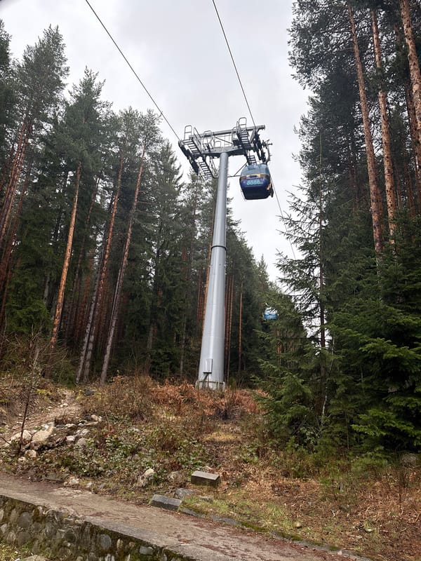 Gondola lift operates through forest near Bansko resort