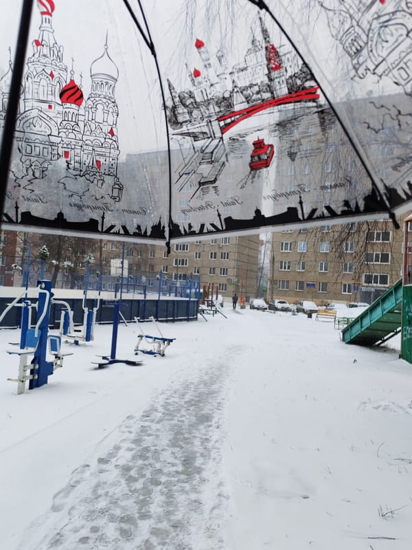 Snowy day documented through decorative umbrella in Izhevsk, Russia