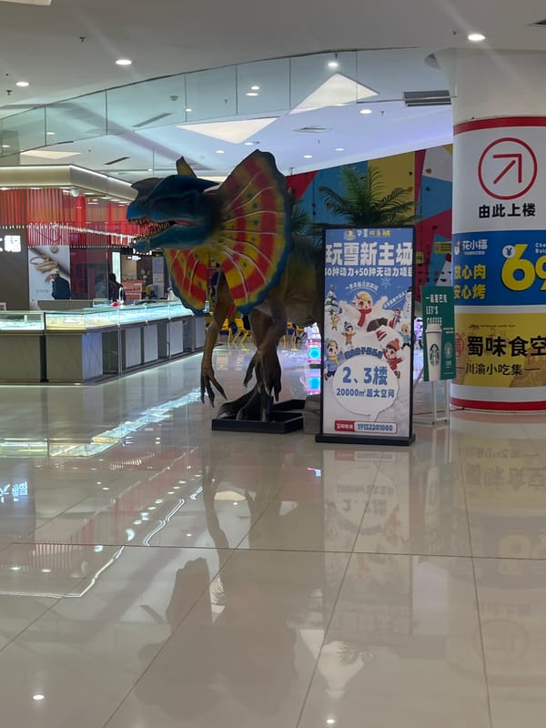 Shopping tour documented across Shapingba District commercial areas