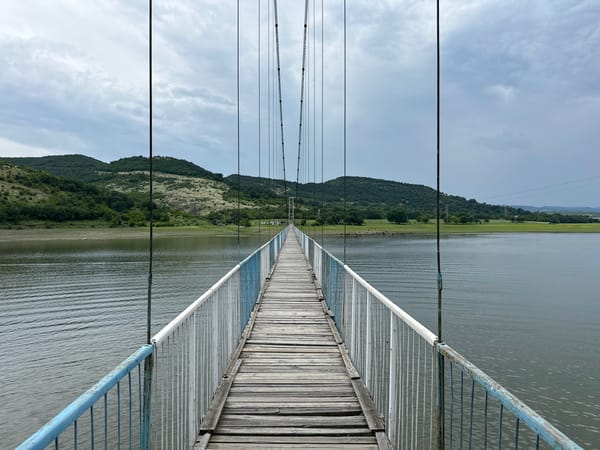 Visitor documents suspension bridge and wildlife in Lisitsite, Bulgaria