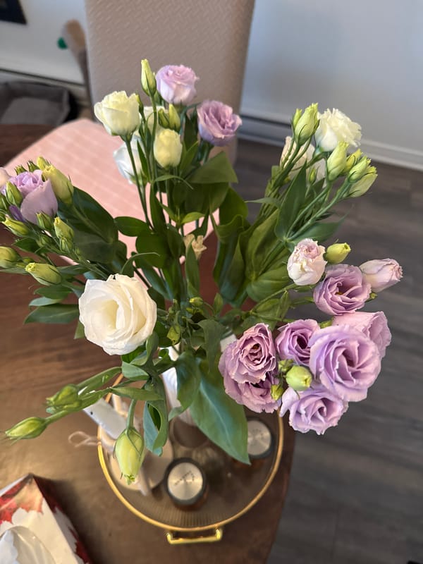 Evening documentation of Gatineau residential area and flowers