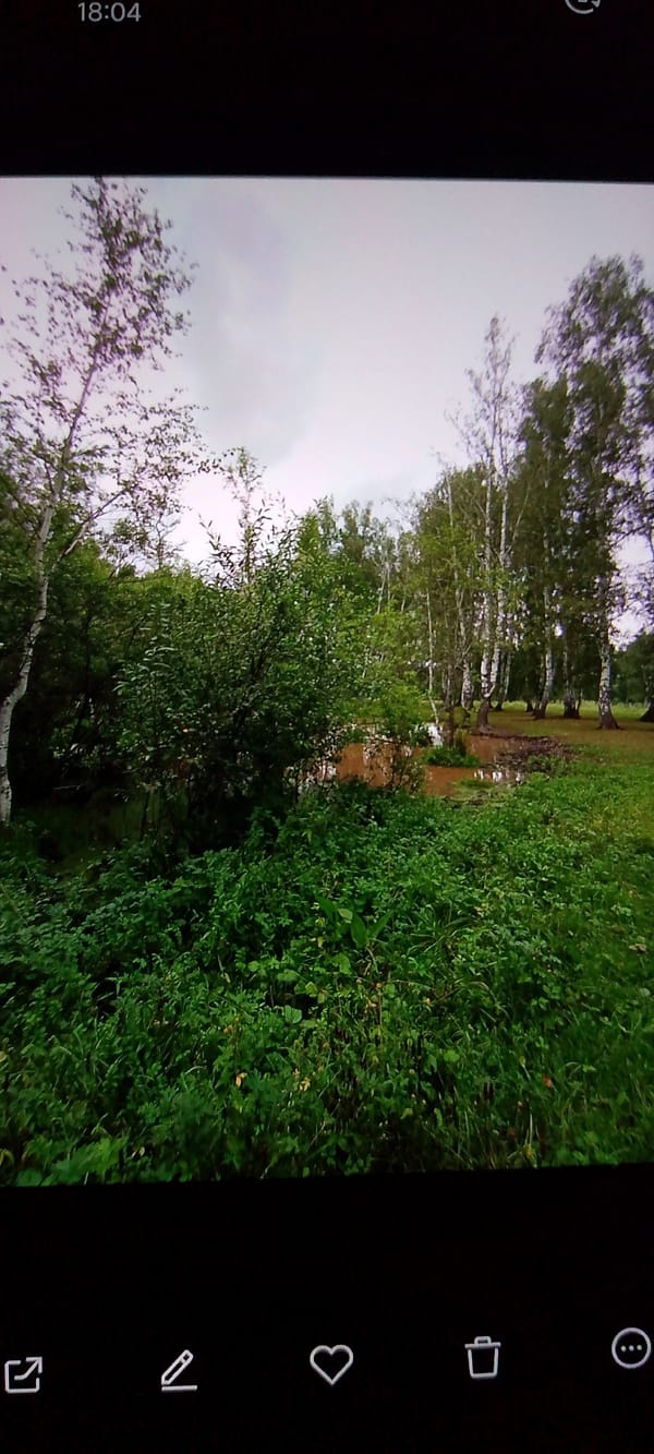 Summer nature scenes from the forests and meadows near Askarovo