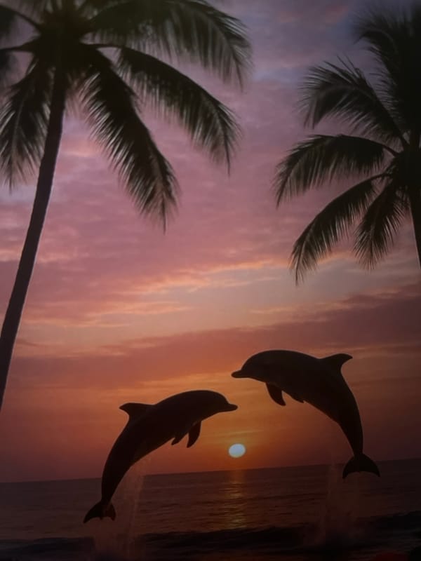 Eclectic mix of nature, animals, and tropical scenery