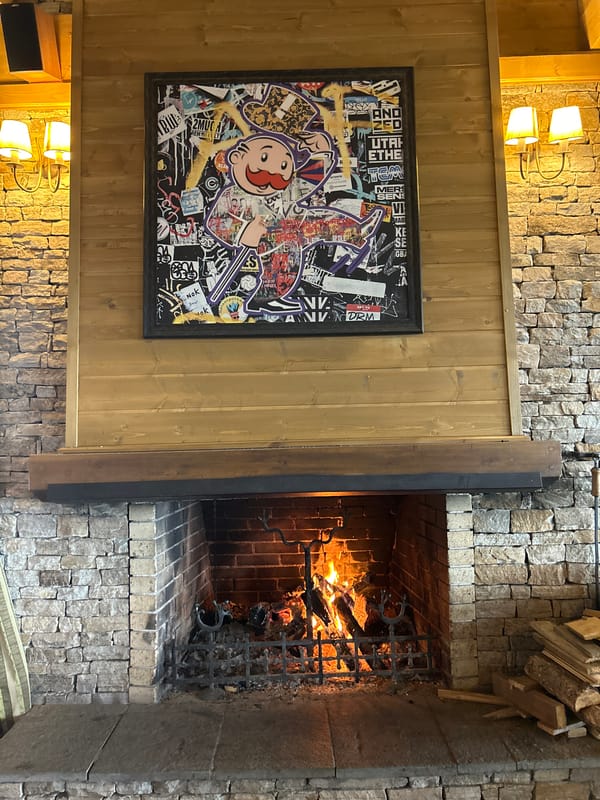 Indoor scene with alcohol display, fireplace documented in Razlog