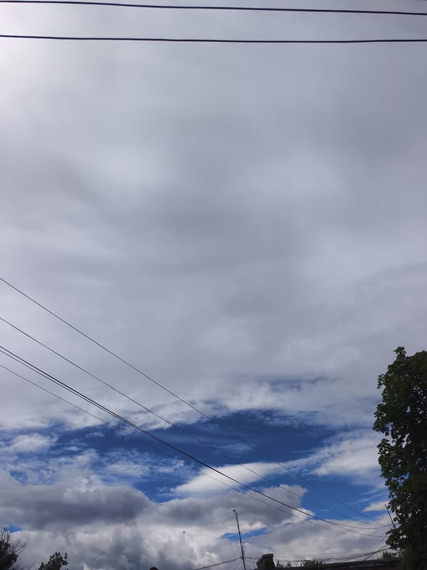 Cloudy skies and paintings from a Vyshneve neighborhood