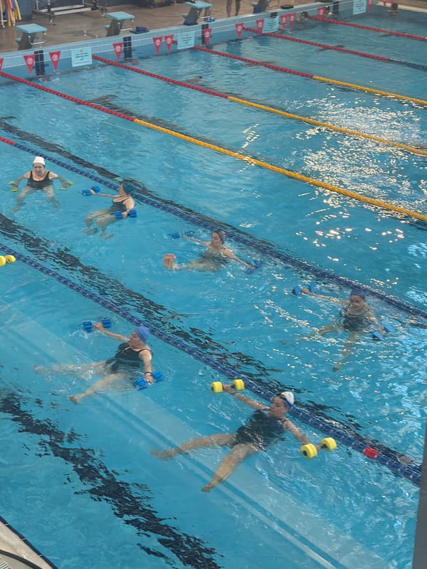 Morning scenes captured in Yerevan: water aerobics, blooming roses