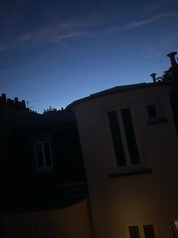 Parisian rooftops and a brass doorknob at dusk