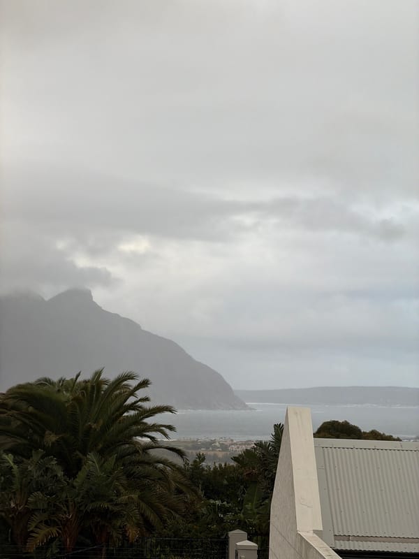 Foggy afternoon captured in residential Hout Bay, South Africa