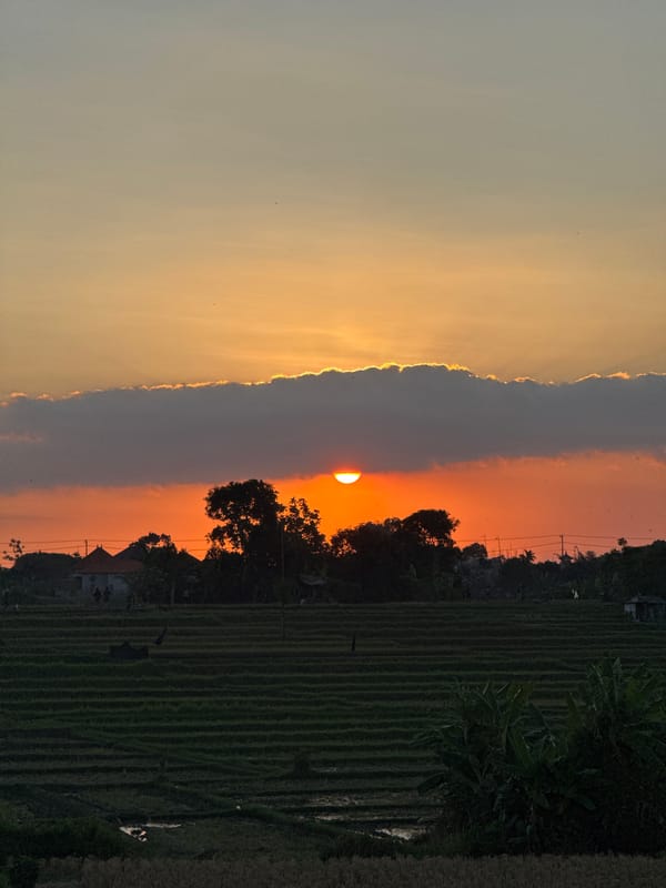Rice field sunset in Bali with volcano on the horizon
