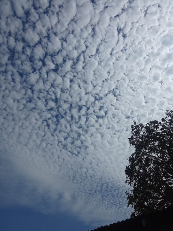 Altocumulus clouds blanket evening sky over Juan Griego, Venezuela