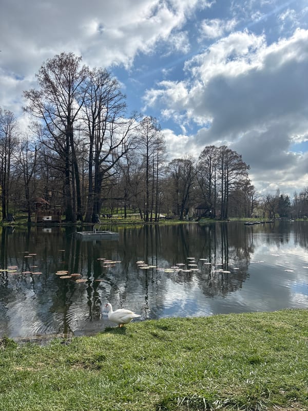 Quiet afternoon moments captured at Craiova lake and zoo