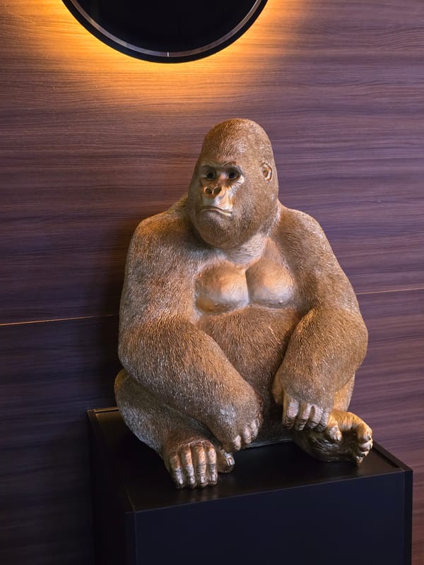 Hookah session documented at Burgas cafe