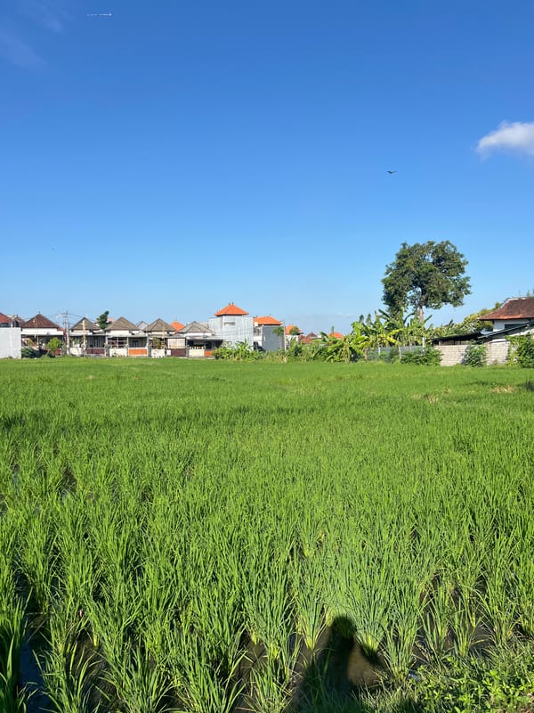 Quiet morning street life in Sukawati, Bali