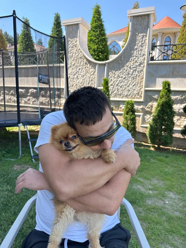 Morning backyard moments with Pomeranian dog in Asenovgrad, Bulgaria