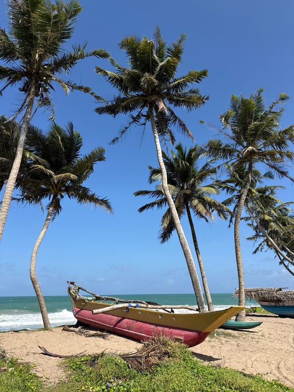 Tropical beach with traditional fishing boats and palm trees