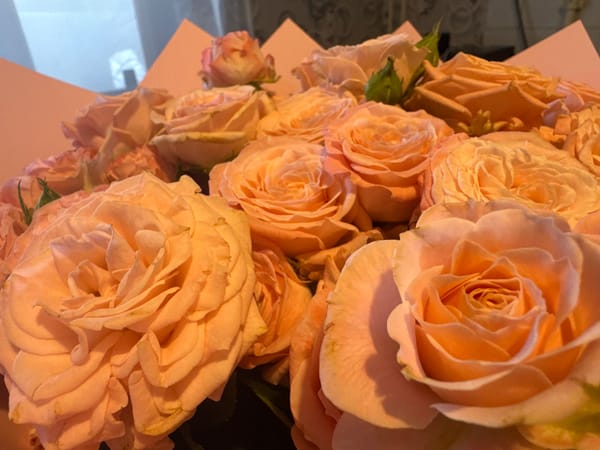 Peach rose bouquet documented in close-up floral arrangement