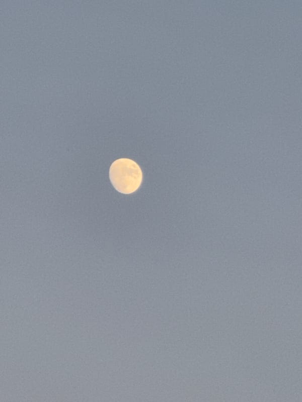 Dusk along the Platja d'Aro beachfront, moon rising over the Costa Brava
