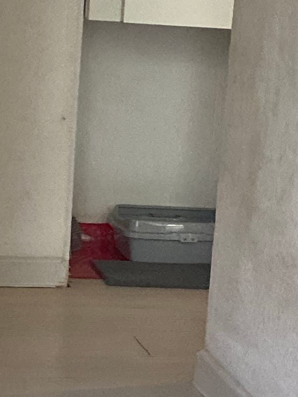 Ordinary morning moments inside a Tolyatti apartment