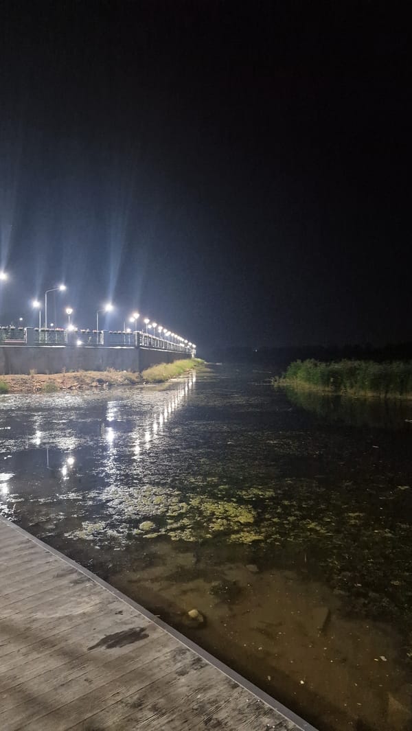 Kostanay's Tobol River embankment lit up on a summer night