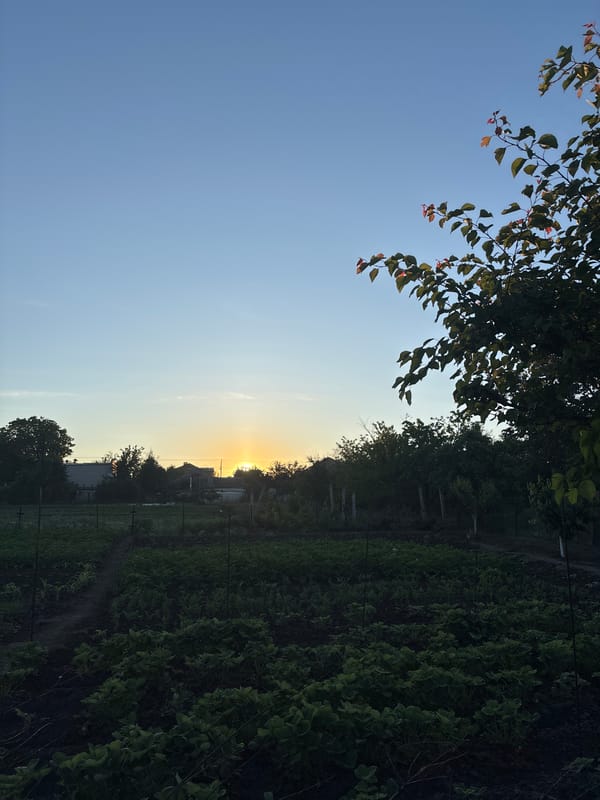 Rural sunrise captured across farmland fields June 2026
