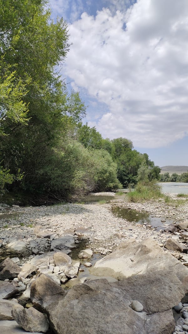 Exploring a rocky riverbank along the Taldykorgan shallows