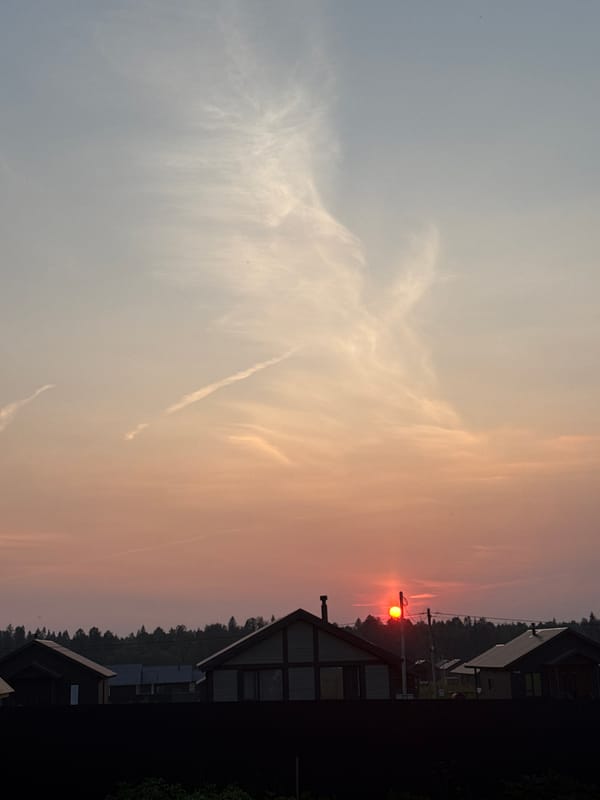 Soft summer sunset over a quiet Russian village