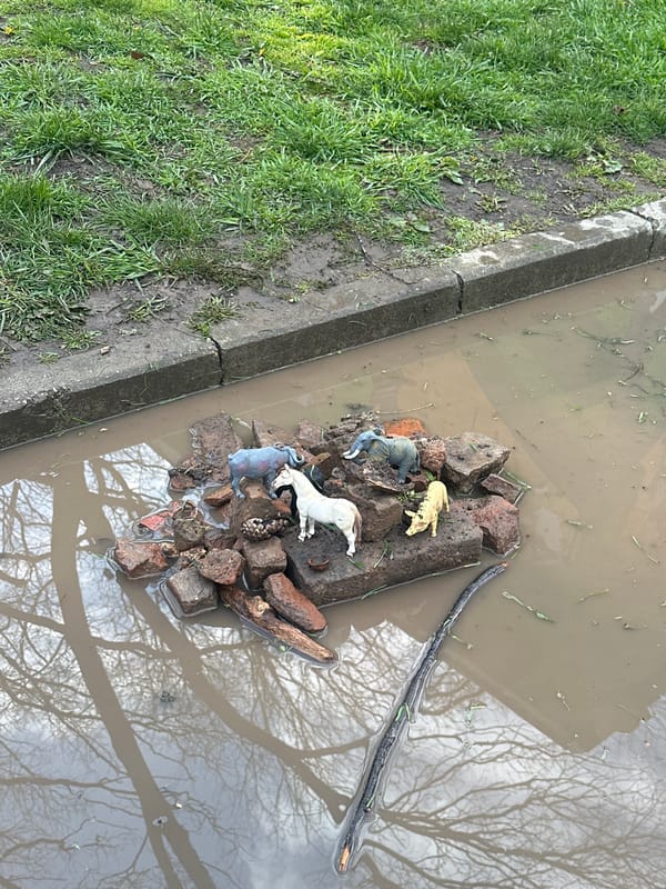 Toy animals arranged on makeshift island in flooded Bulgarian gutter