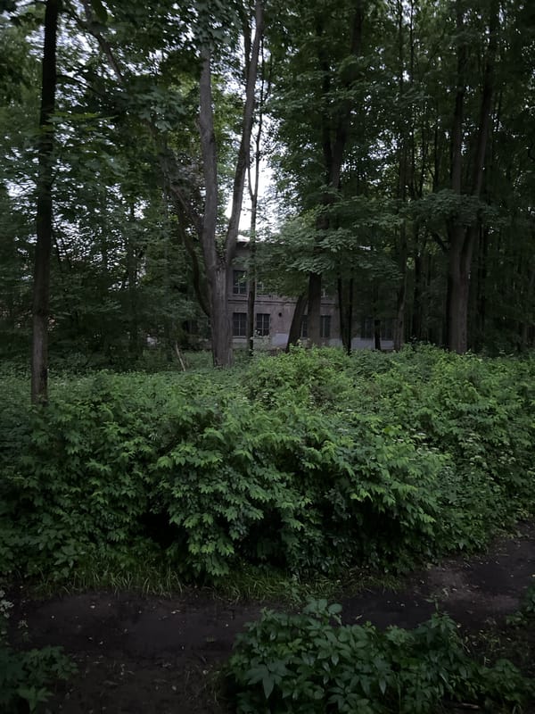Evening walk documented through Saint Petersburg parks and streets