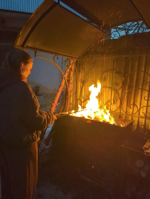 Women's social gathering features barbecue and banya in Khimki