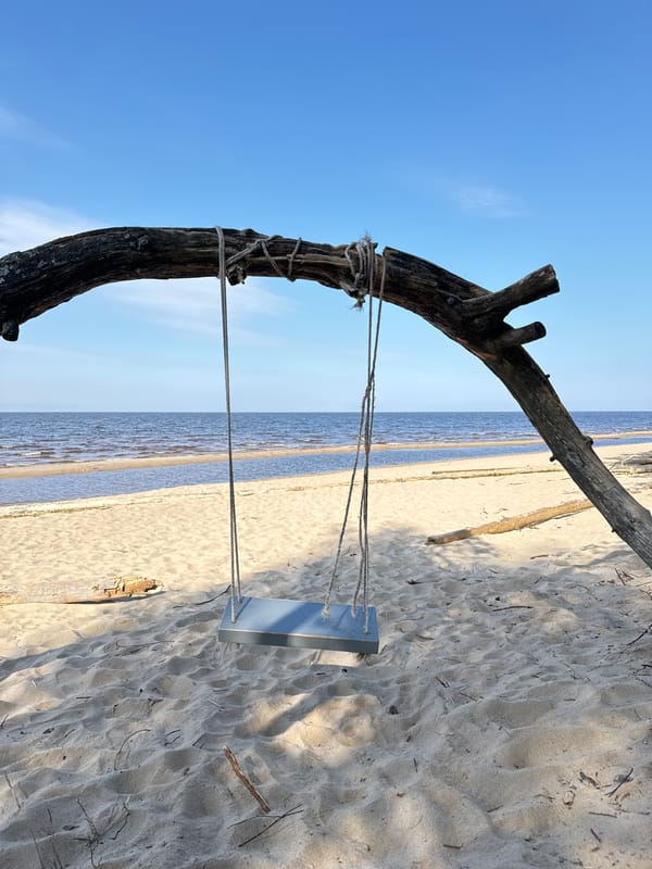Natural branch swing spotted on Saulkrasti beach