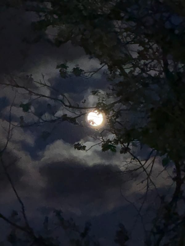 Full moon observed through clouds over London evening