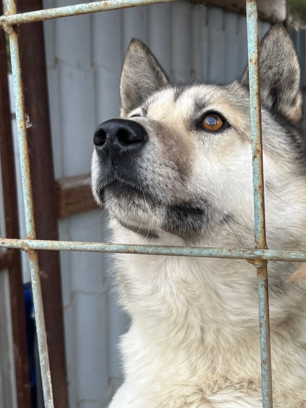 Spring day captured in casual photos around Kamskoe, Russia