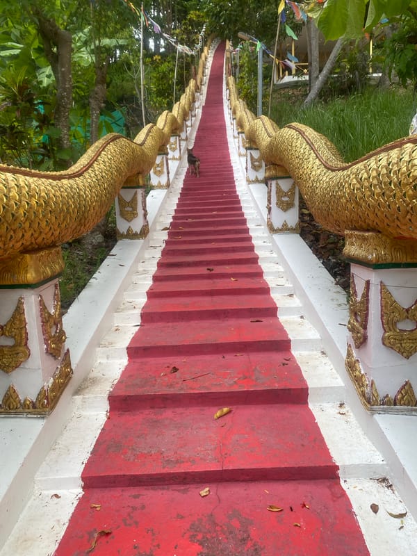 Temple stairs with golden dragon sculptures documented in Thailand