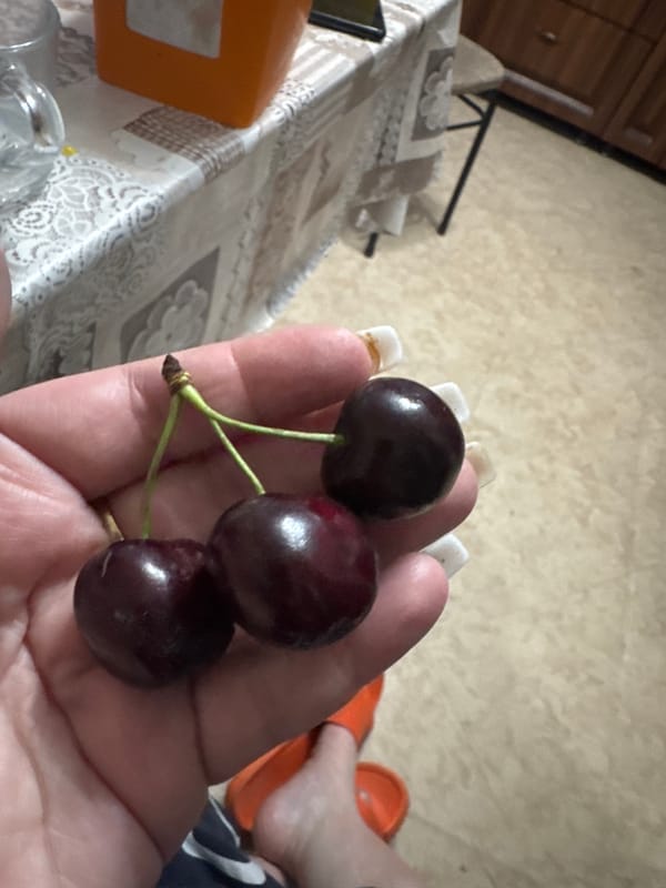 Fresh cherries and a summer salad in Taganrog