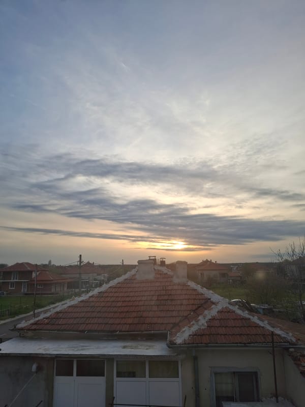Sunset and cactus scenes observed in residential area