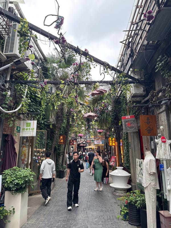 Morning scenes captured in Shanghai's historic Tianzifang tourist district