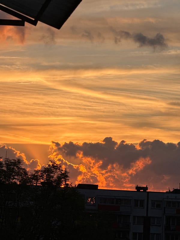 Balcony evenings in Białystok: sunsets, flowers, and selfies
