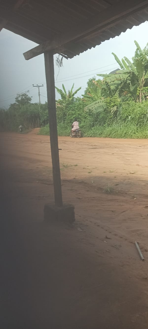 Daily Life Documented on Rural Roads in Amauzu Nigeria