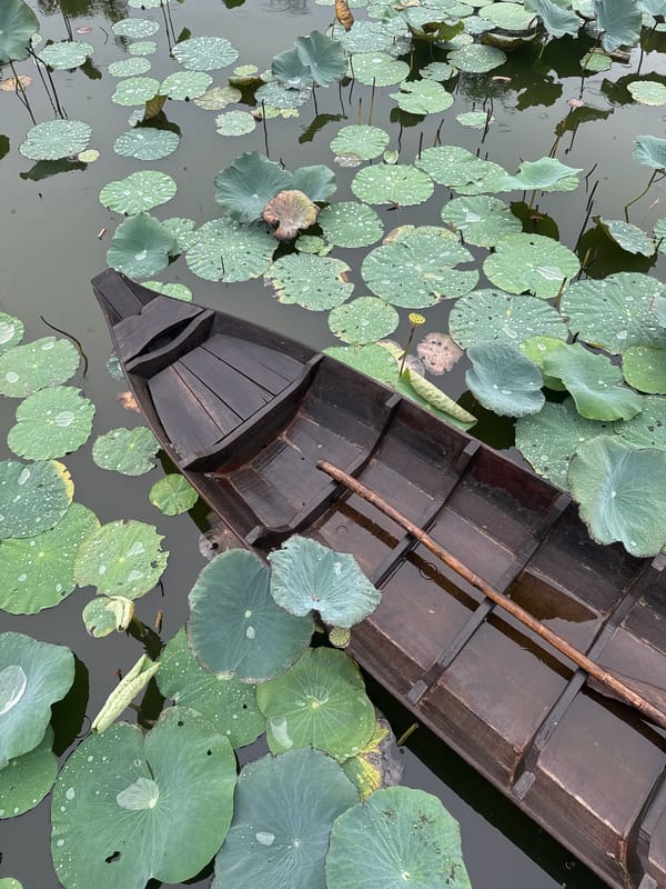 Old boat and lotus leaves on a quiet Mũi Né pond