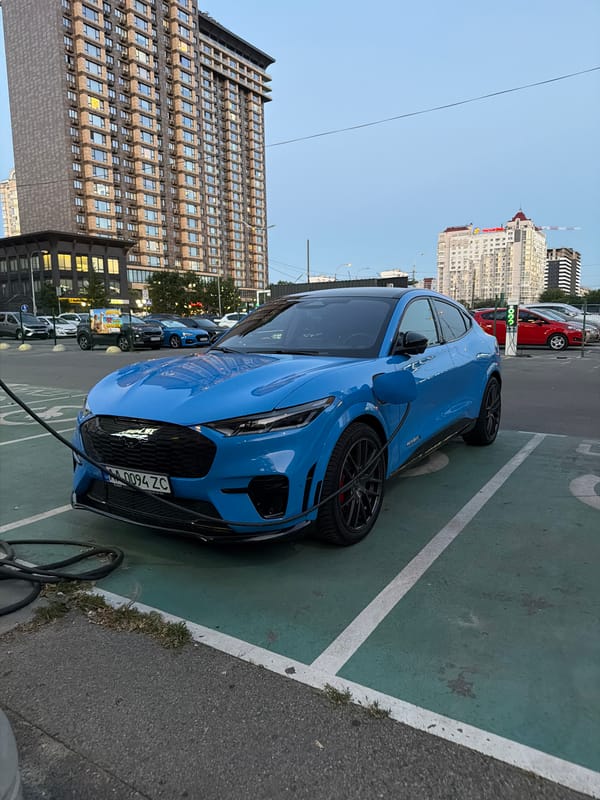 Street-level moments in Kyiv, featuring Mustangs and a dog