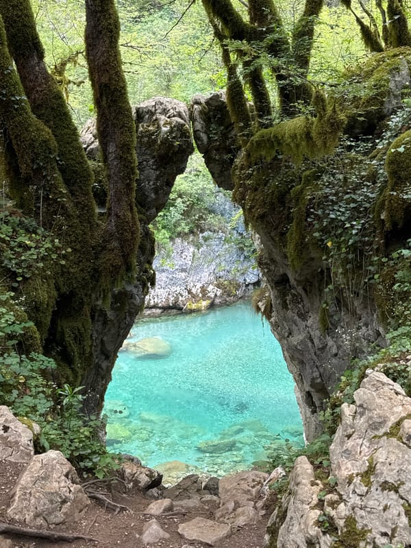 Scenic Morača River and forest documented by visitors in Lazba