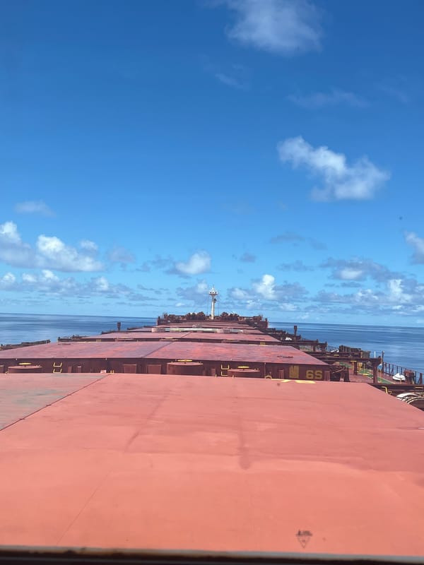 Bulk carrier at sea, red hatches across the deck