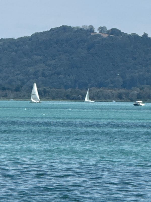 Afternoon sailing activity on Lac de Neuchâtel
