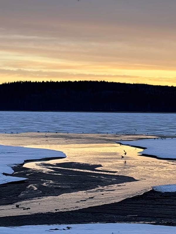 Sunset captured over water in Chaikovsky, Russia