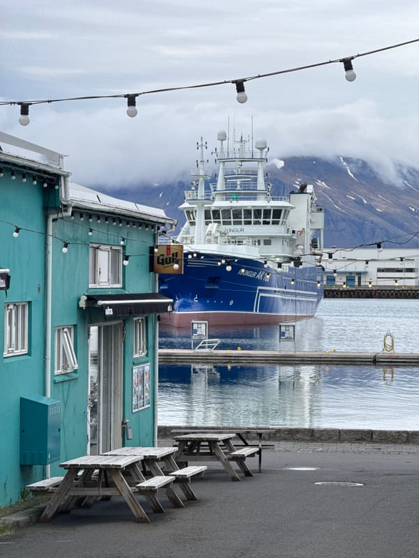 Waterfront establishment documented in Reykjavik on cloudy evening