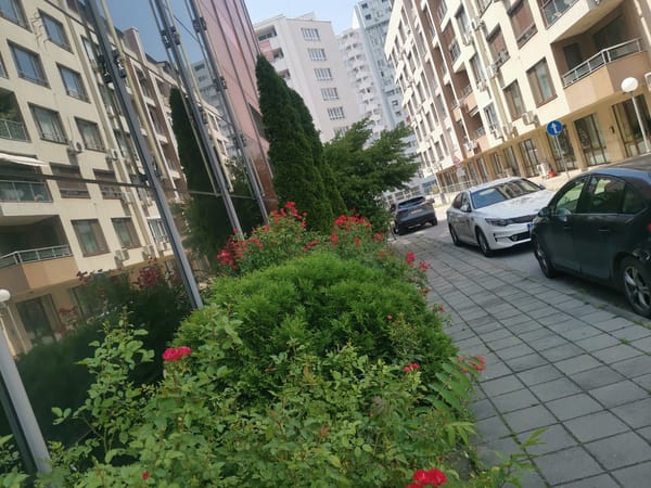 Witness documents afternoon tour of Plovdiv urban landmarks