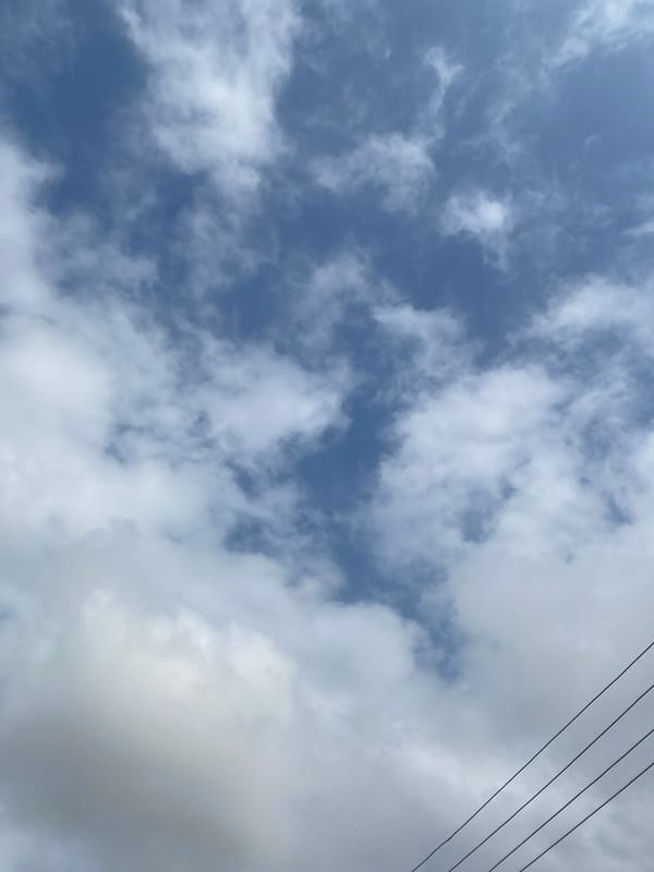 Morning street-level snapshots from a Lafia neighborhood